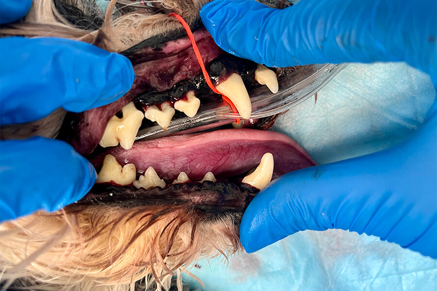 スケーリング後 1