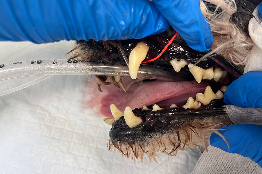 スケーリング後 2