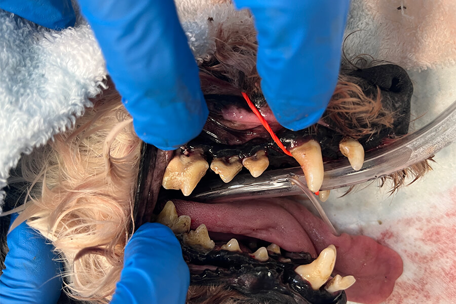 スケーリング前 2