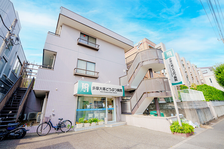 アクセス