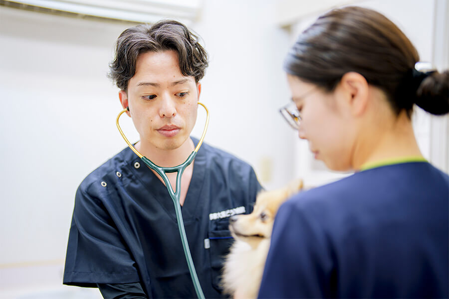 診療案内