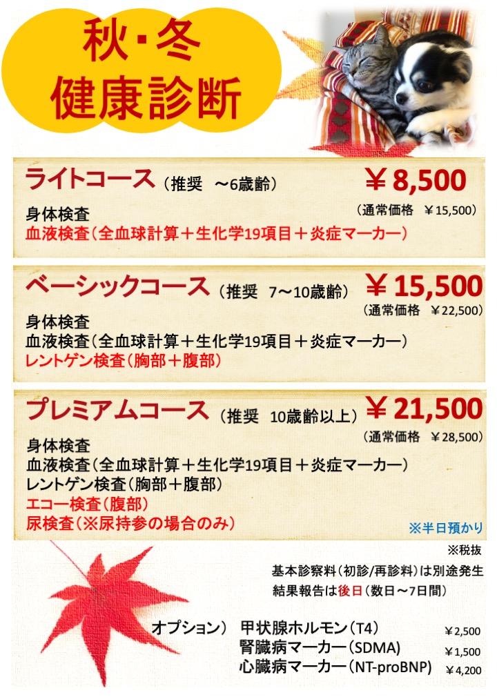 秋・冬　健康診断のお知らせ