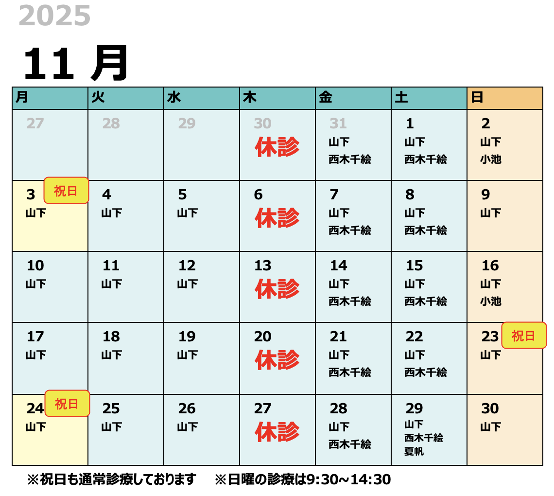 11月　獣医師出勤表