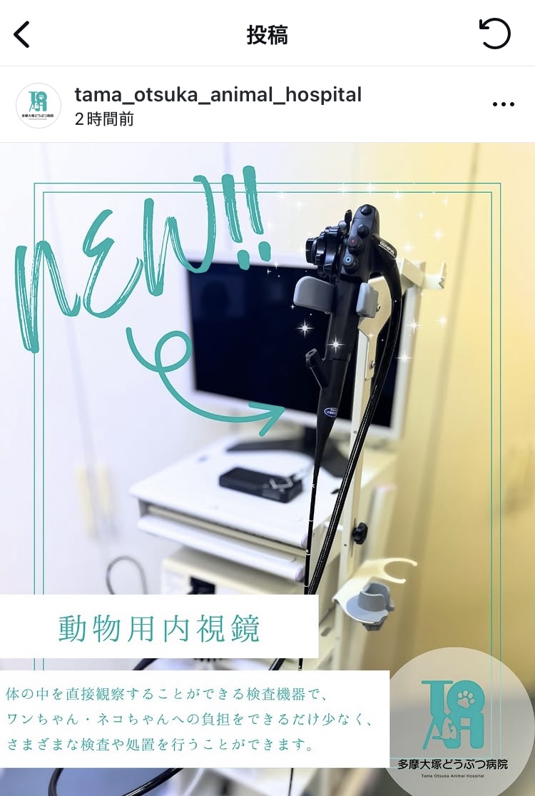 内視鏡検査のご案内