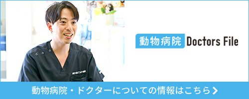 院長が取材を受けました！